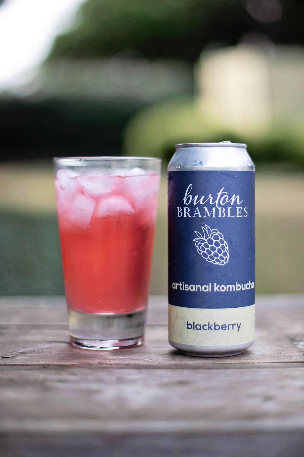 Blackberry Kombucha