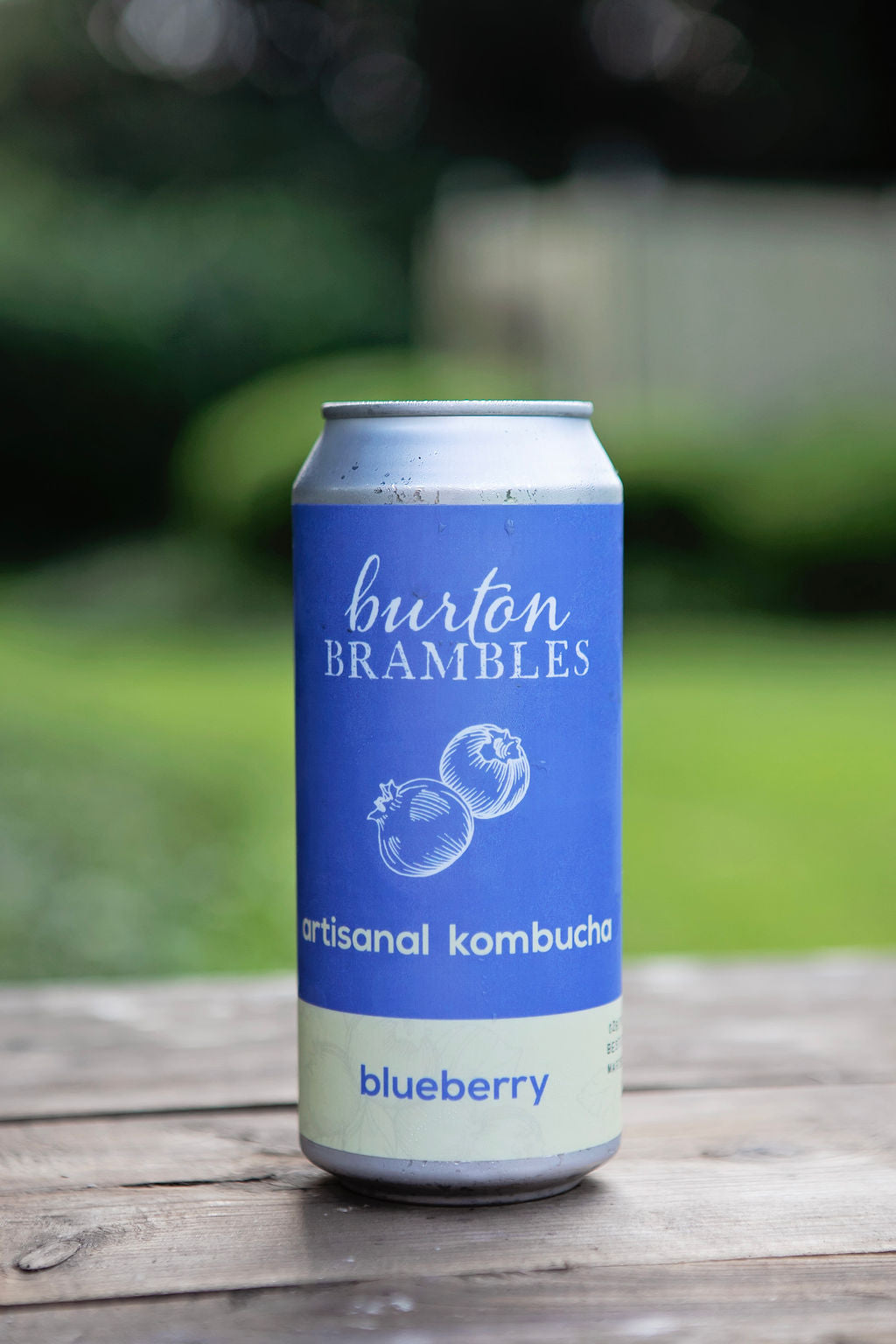 Blueberry Kombucha