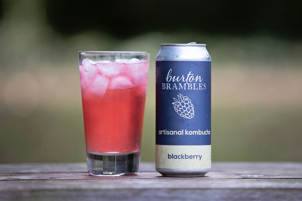 Blackberry Kombucha