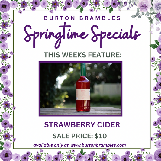 Strawberry Cocktail Mixer/Cider