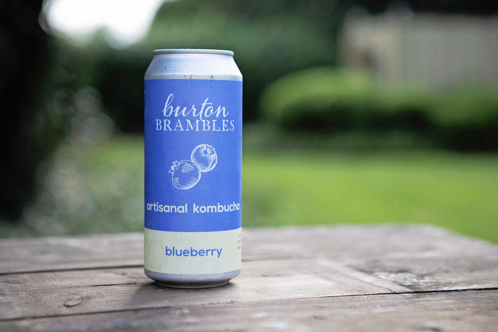 Blueberry Kombucha