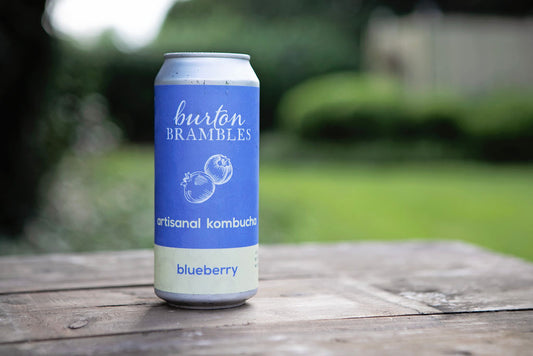 Blueberry Kombucha