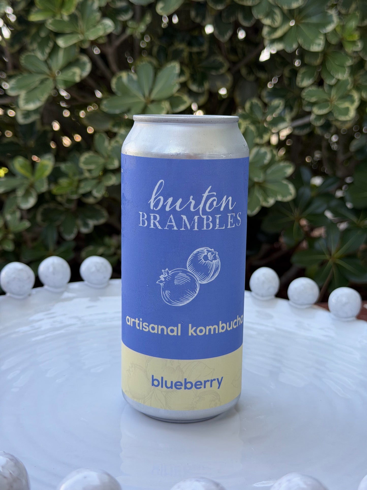 Blueberry Kombucha