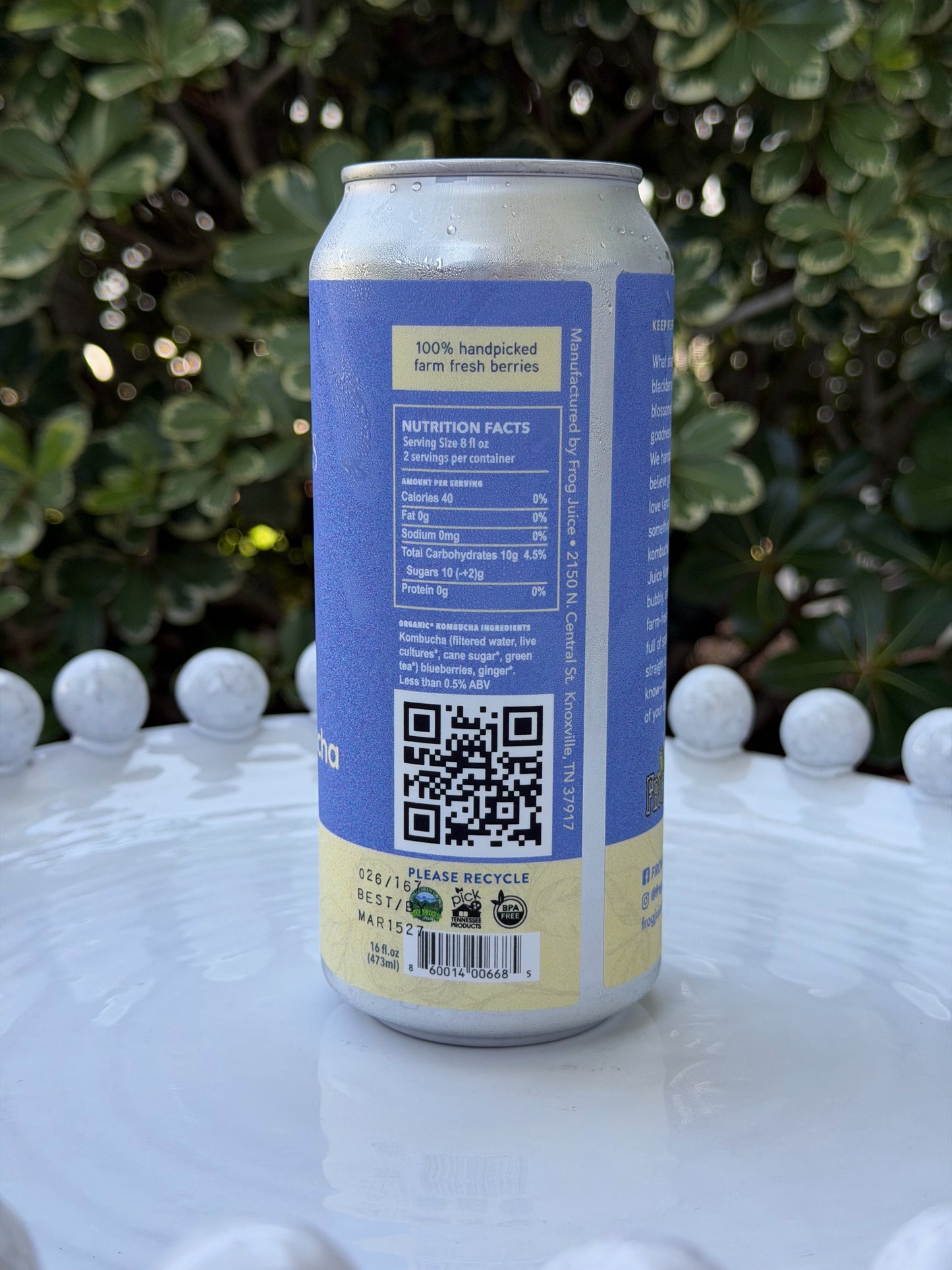 Blueberry Kombucha