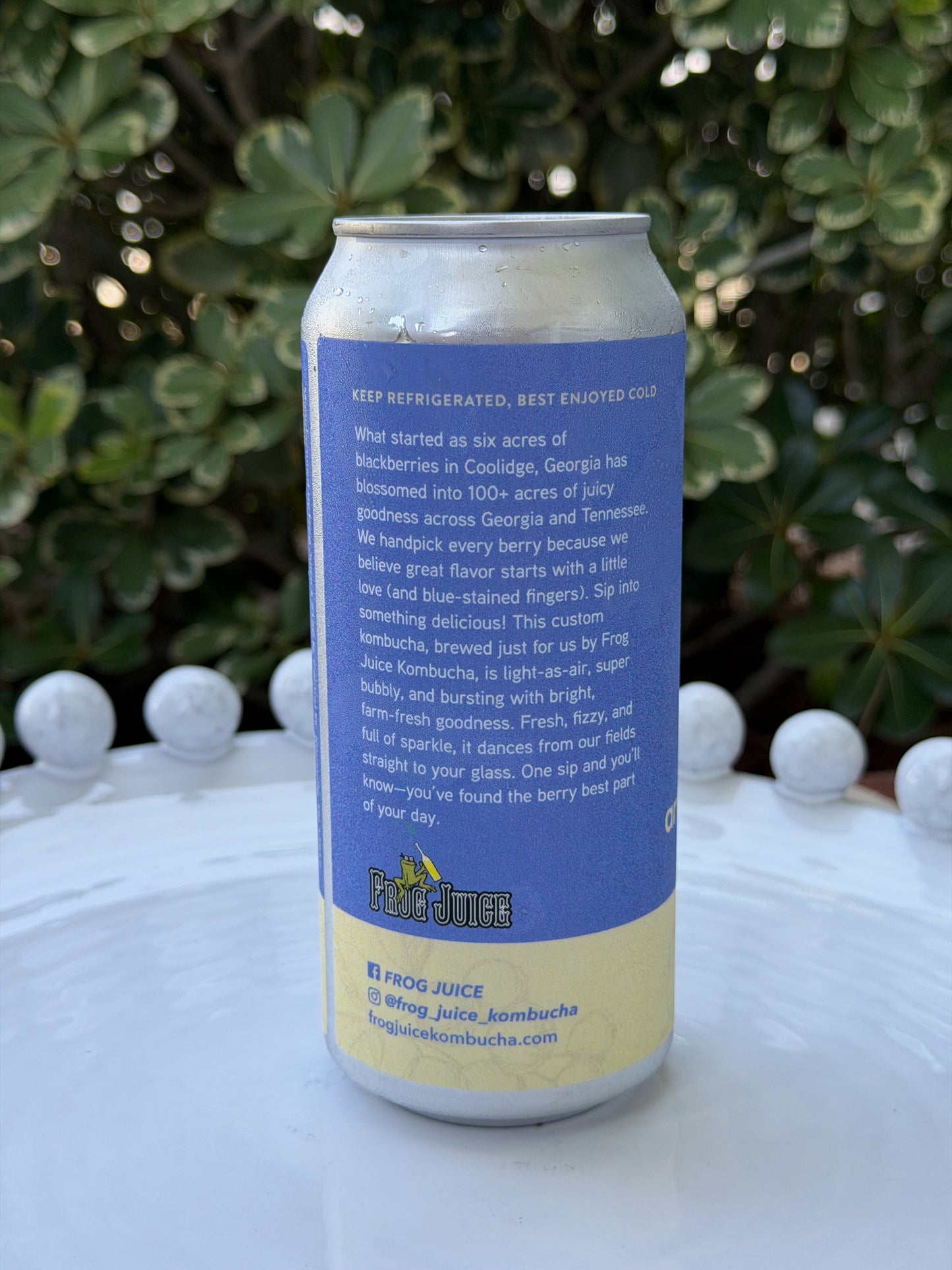 Blueberry Kombucha