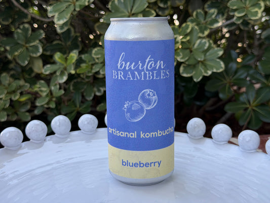 Blueberry Kombucha